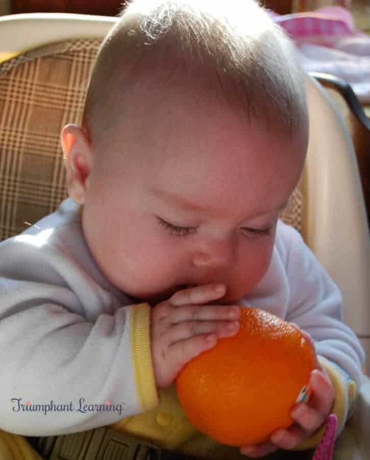 Using sight, smell, and touch to observe an orange. 