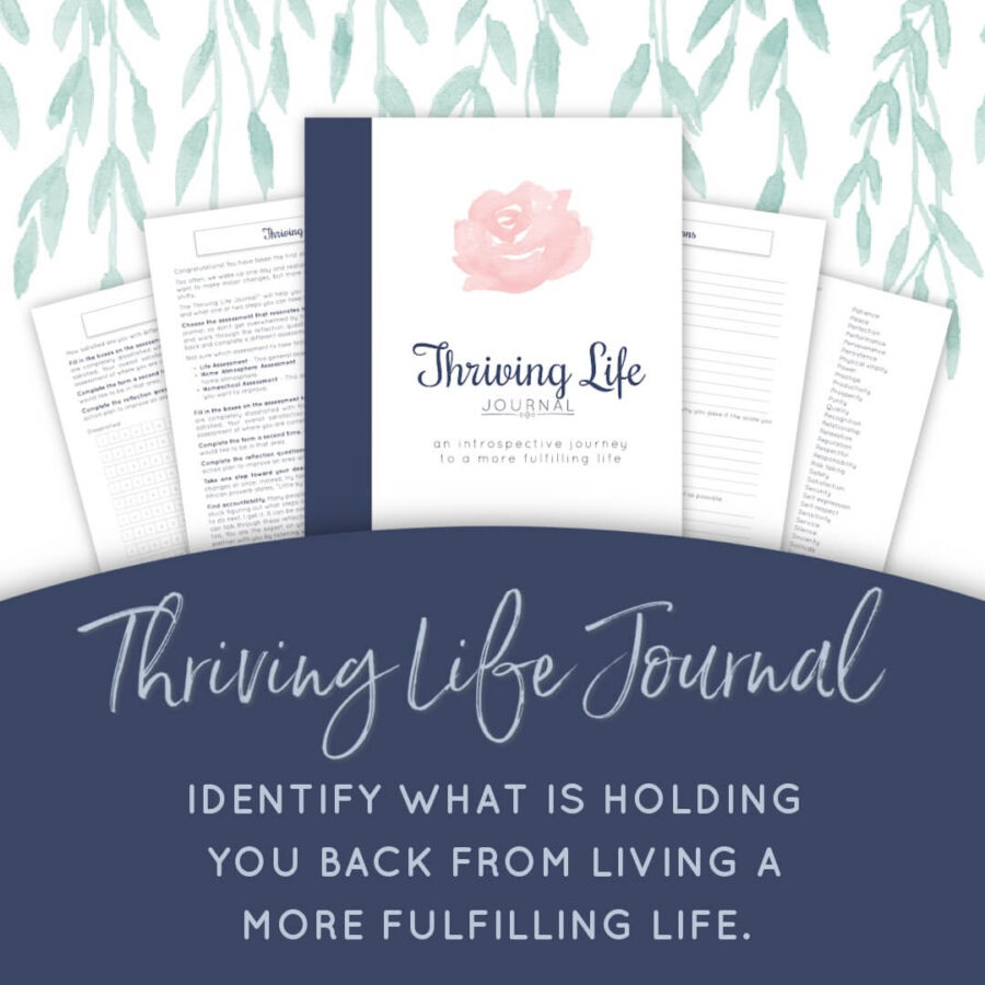 Identify what is holding you back from living a more fulfilling life with the Thriving Life Journal.